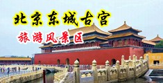 美穴丝腿中国北京-东城古宫旅游风景区